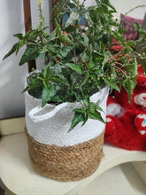 Load image into Gallery viewer, Jute &amp; White Cotton - Planter Pots/Storage Basket
