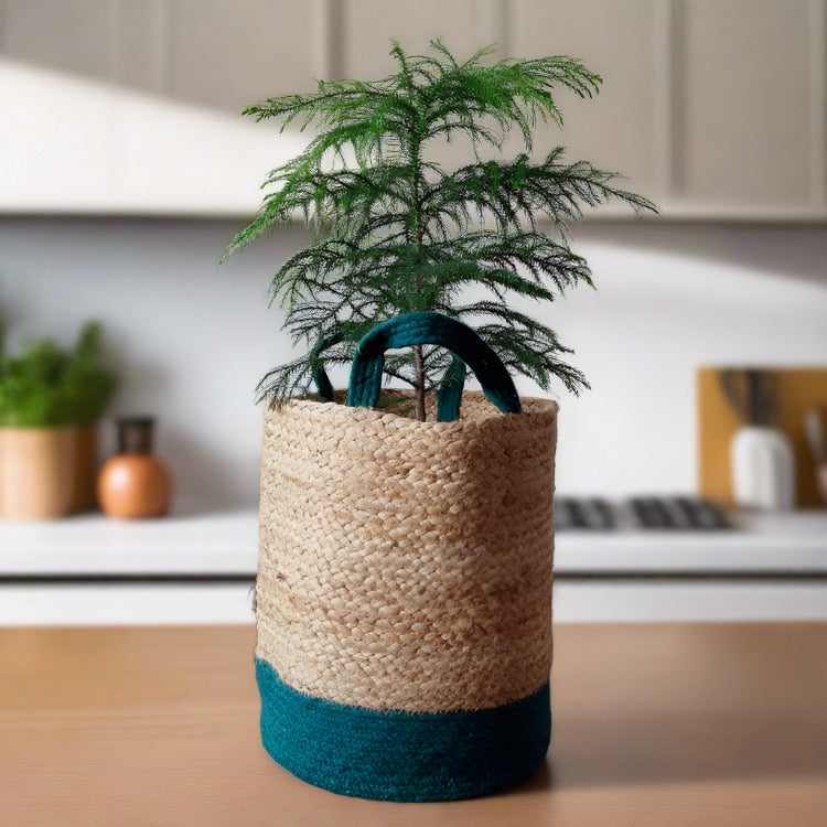 Jute & Green - Planter Pots/Storage Basket