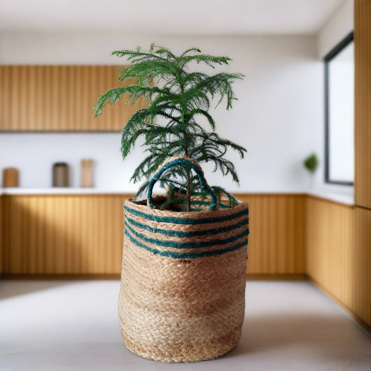 Jute & Green - Planter Pots/Storage Basket