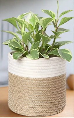 White & Jute - Planter Pots/Storage Basket